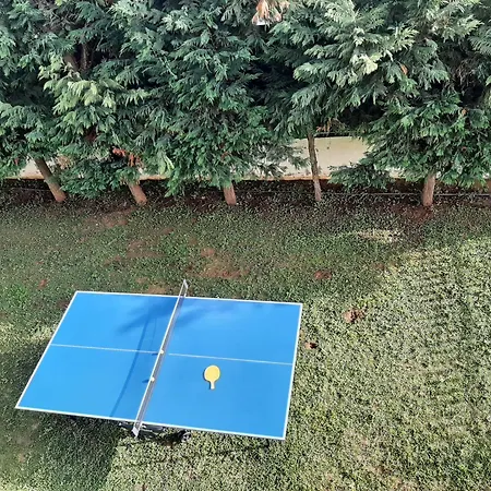 Appartement Yannis Leonidas *