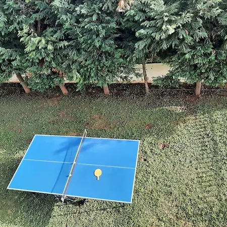 Apartment Yannis Leonidas Asprokhoma