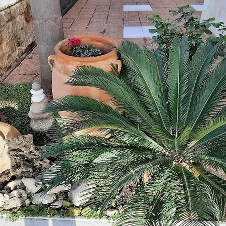 Yannis Leonidas Asprokhoma