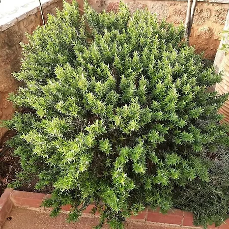 Yannis Leonidas Apartment