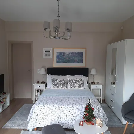 Yannis Leonidas * Asprokhoma