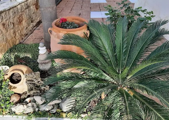 Yannis Leonidas Asprokhoma