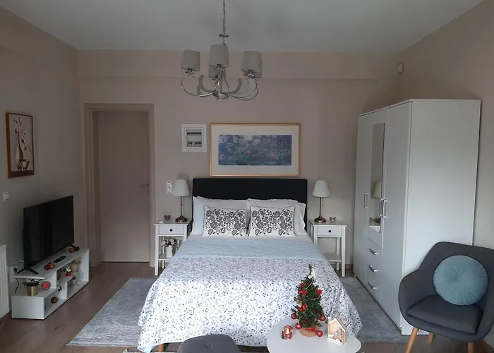 Yannis Leonidas * Asprokhoma